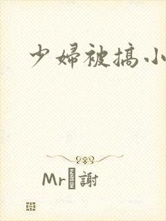 少妇被搞小说