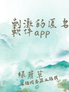 刺激的匿名聊天软件app