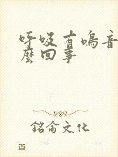 呼吸有鸣音是怎么回事