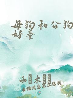 母狗和公狗哪个好养