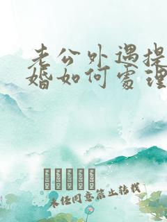 老公外遇提出离婚如何处理