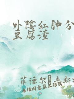 外阴红肿分泌物豆腐渣