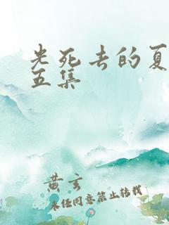光死去的夏天第五集
