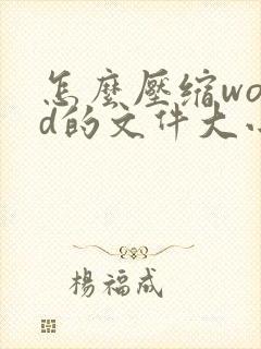 怎么压缩word的文件大小