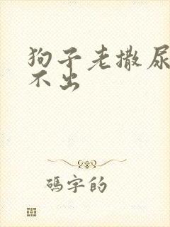 狗子老撒尿但尿不出