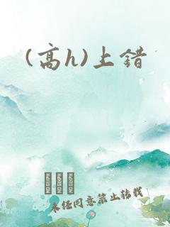 (高h)上错 (高h)上错