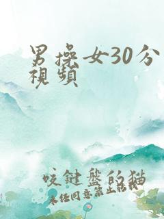 男操女30分钟视频
