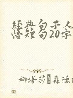 经典句子人生感悟短句20字 经典句子人生感悟短句20字