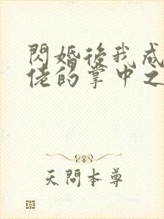 闪婚后我成了大佬的掌中之物网剧
