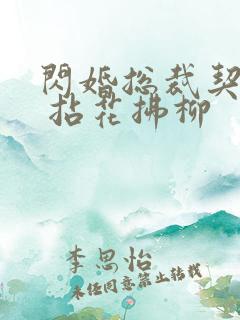 闪婚总裁契约妻 拈花拂柳 闪婚总裁契约妻 拈花拂柳