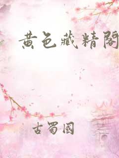 黄色藏精阁