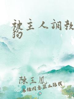 被主人调教的母狗