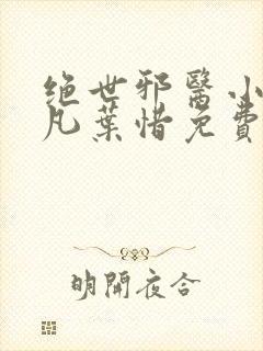 绝世邪医小说林凡叶惜免费阅读全文