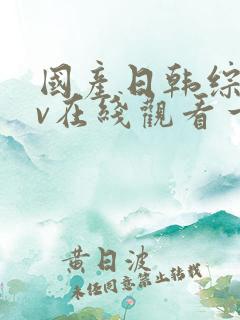 国产日韩综合av在线观看一区