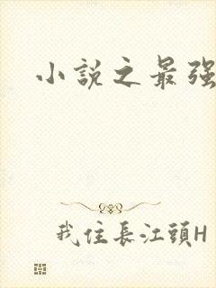 小说之最强霸主