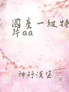 国产一级特黄大片aa