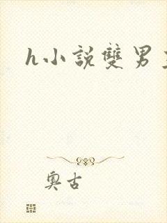 h小说双男主