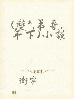 (双*,弟哥,年下)小说 (双*,弟哥,年下)小说