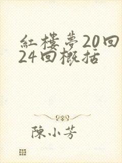 红楼梦20回至24回概括