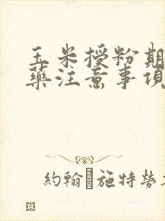 玉米授粉期打农药注意事项