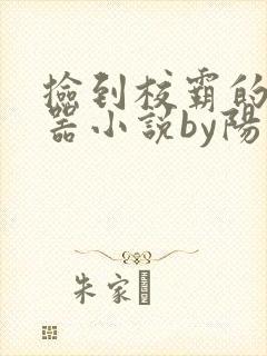 捡到校霸的遥控器小说by阳阳