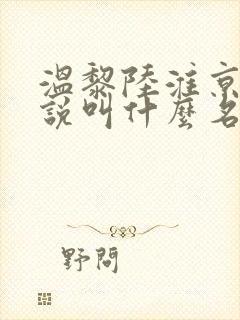 温黎陆淮京的小说叫什么名字