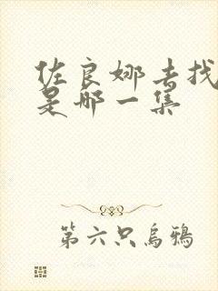 佐良娜去找佐助是哪一集
