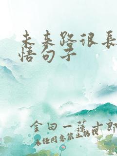 未来路很长的感悟句子
