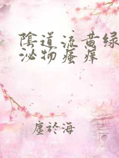 阴道流黄绿色分泌物瘙痒