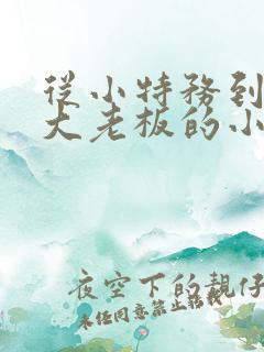 从小特务到军统大老板的小说