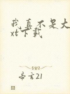 我真不是大佬txt下载