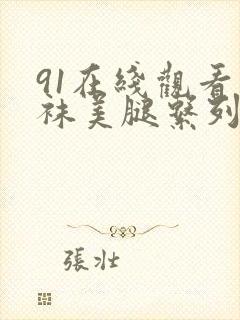 91在线观看丝袜美腿系列