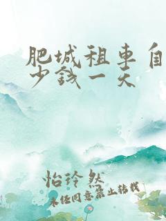 肥城租车自驾多少钱一天