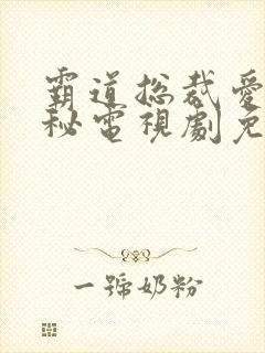 霸道总裁爱上女秘电视剧免费观看