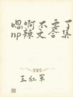 嗯啊不要了高hnp辣文合集