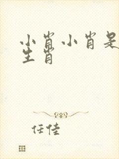 小肖小肖是什么生肖
