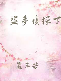 盗梦侦探下载