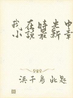 我在时光中爱你小说最新章节阅读全文