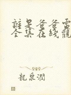 谁是爸爸电视剧全集在线观看
