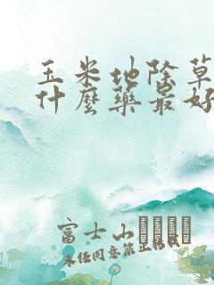 玉米地除草剂用什么药最好
