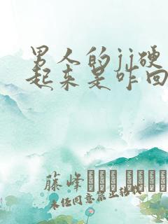 男人的jj硬不起来是咋回事