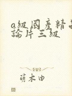 a级国产精品理论片三级