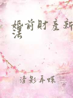 婚前财产新婚姻法 婚前财产新婚姻法