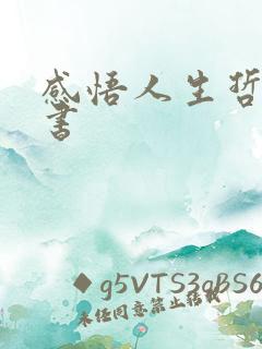感悟人生哲理的书