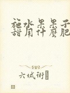施水果果子大又甜用什么肥料