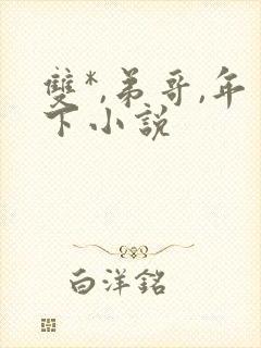 双*,弟哥,年下小说