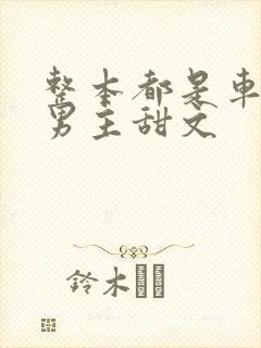 整本都是车的双男主甜文