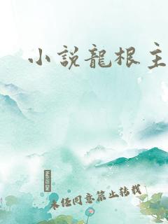 小说龙根主角