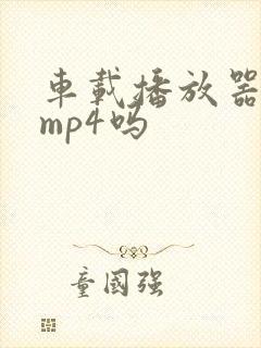 车载播放器支持mp4吗