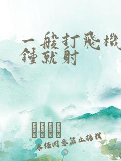 一般打飞机几分钟就射 一般打飞机几分钟就射